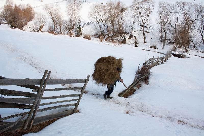 Ioja Oszkar-Norbert - Gospodarul.jpg
